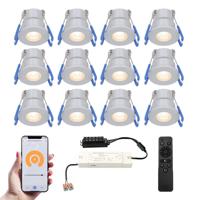 Set van 12 Milano Smart LED Mini Inbouwspots - Veranda spots - 12V 3W 200lm - Dimbaar - Wifi & Bluetooth - 2700K - IP65 waterdicht - RVS