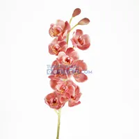 Cymbidium bloem l66cm roze