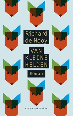 Van kleine helden - Richard de Nooy - ebook