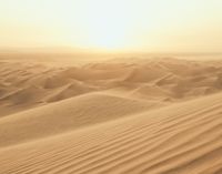 Noordwand Atmosphere Fotobehang met woestijn G78423