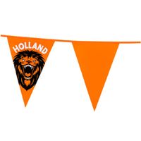 Vlaggenlijn - oranje met leeuw - 6 meter - 15 vlaggen - kunststof - thumbnail