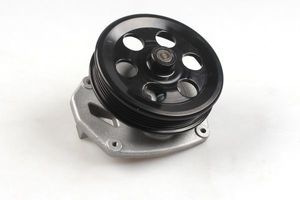 Waterpomp P392