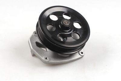 Waterpomp P392