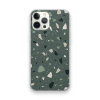 Terrazzo N°19: iPhone 12 Pro Max Transparant Hoesje