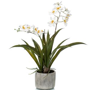 Witte orchidee Orchidaceae kunstplant in keramische pot 45 cm