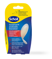 Scholl Blarenpleister Hiel