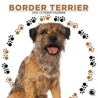 Border Terrier Kalender 2026