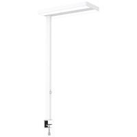Maul MAULjaval 8258302 LED-tafellamp LED Lichtbron vervangbaar door elektricien 64 W Wit - thumbnail