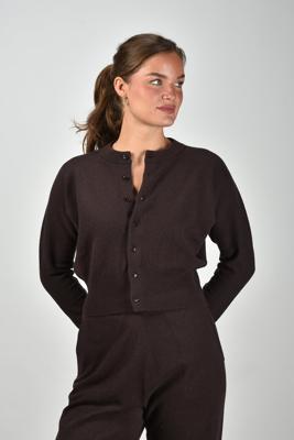 Extreme Cashmere vest Blouson 257 dark brown