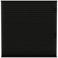 Leen Bakker - Fenstr Plisségordijn Chicago Dubbel 25mm Verduisterend - (15023) - Polyester - Zwart - 120x10x10 Cm