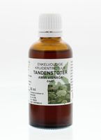 Natura Sanat Ammi visnaga/tandenstoker tinctuur (50 ml)