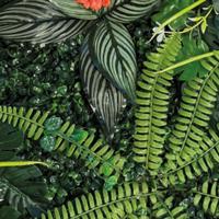Repto Aquadistri plant achterwand mat 40-60 cm 3 - Aquadistri