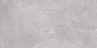 Vloer-/wandtegel CTC Stone Design 120x60cm silver mat gerectificeerd Vloer-/wandtegel CTC Stone Design 120x60cm silver mat gerectificeerd