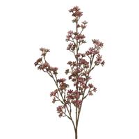 Kunsttak Prunus