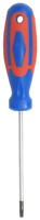 CON:P Schroevendraaier Tx10 2C - CPT312910