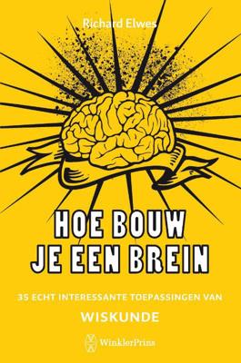 Hoe bouw je een brein (Paperback)