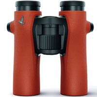 Swarovski NL Pure 8x32 Burnt-Orange