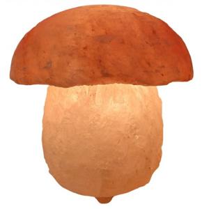 Paddestoel Zoutlamp - Zout(lampen) - Spiritueelboek.nl