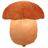 Paddestoel Zoutlamp - Zout(lampen) - Spiritueelboek.nl