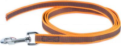 Antislip Hondenriem - 20mm x 2m - Oranje