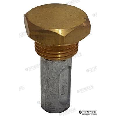 TEN02010/99F - AIFO-anode met zinkplug