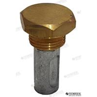 TEN02010/99F - AIFO-anode met zinkplug