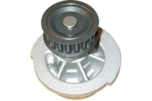 Waterpomp DW1002