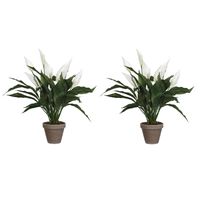 2x stuks spathiphyllum lepelplant kunstplanten wit in keramieken pot H50 x D40 cm - thumbnail