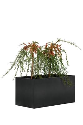 Bloembak Mohawk, zwart gepoedercoat staal 50 x 90 x 50 cm