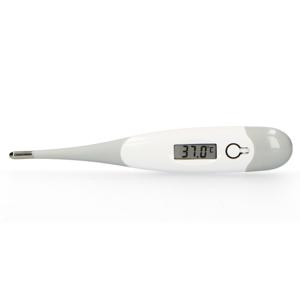 Alecto BC-19GS - Digitale thermometer, grijs