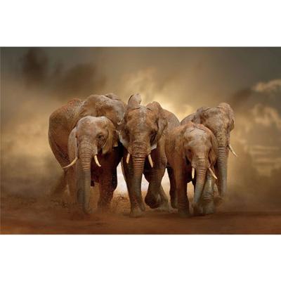 Glasschilderij - Olifanten - 120 x 80 cm Glasschilderij - Olifanten - 120 x 80 cm
