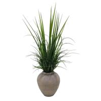 Decoratieve plant Home ESPRIT Polyethyleen