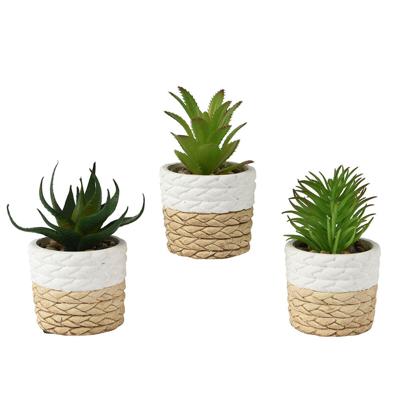 Everlands Plastic