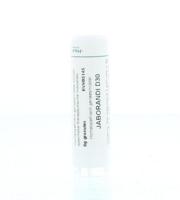 Homeoden Heel Jaborandi D30 6 Gram