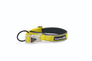 Beeztees safety gear Parinca Premium LED Nylon hondenhalsband 50-55x2,5cm