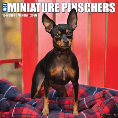 Miniatuur Pinscher Kalender 2026