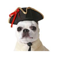 Kostuum voor honden Zwart Hoed