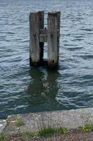H. (Paperback)