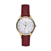 Horloge Heren Cauny CMJ008