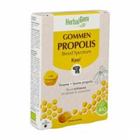Herbalgem Propolis Breed Spectrum Bio Gommen 24 Herbalgem Propolis Breed Spectrum Bio Gommen 24