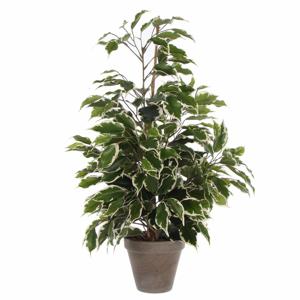 Groen/witte ficus kunstplant 65 cm - Kunstplanten