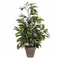 Groen/witte ficus kunstplant 65 cm - Kunstplanten - thumbnail