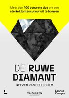 De ruwe diamant - Steven Van Belleghem - ebook