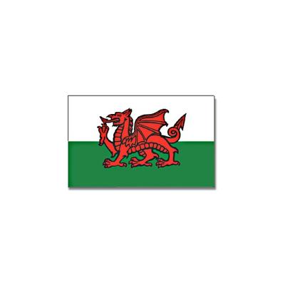 Vlag Wales - wit/groen/rood - polyester - 90x150 cm - landen vlag