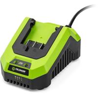 Caricabatterie - FIELDMANN - Per batteria da 20 V - Carica 2 Ah in 60 min - Compatibile con 2 Ah, 4 Ah