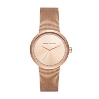 Horlogeband Armani Exchange AX4503 Staal Rosé 22mm