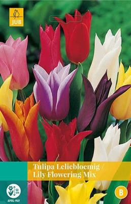 Tulipa Leliebloemig mix 5 bollen - Jub