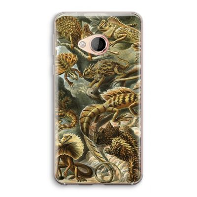 Haeckel Lacertilia: HTC U Play Transparant Hoesje