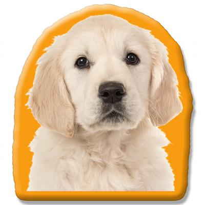 Kleur Voorzijde: - Pillow Buddies