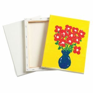 Colorations - canvas katoen 30,5 x 23cm, set van 6